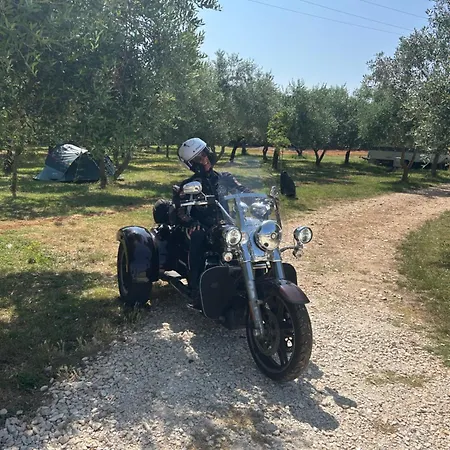 Volme Κάμπινγκ
