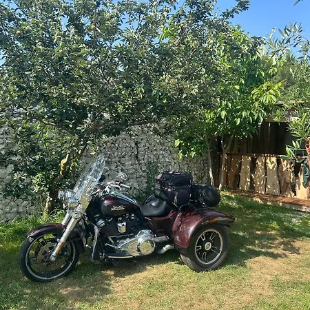 Volme Tent Kamp alanı *