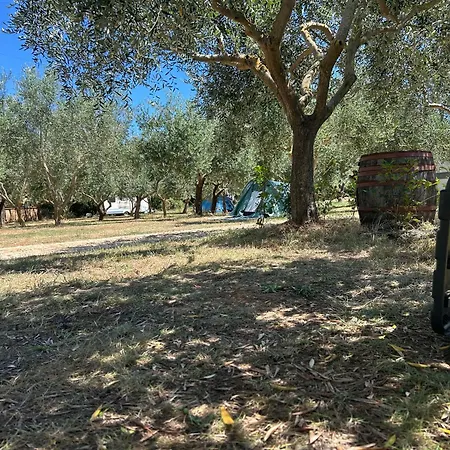 Volme Tent Camping