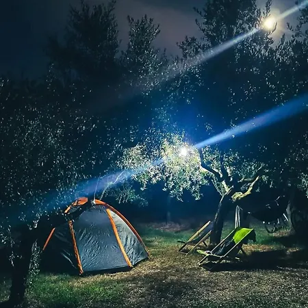 Volme Tent *
