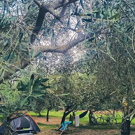 Volme Tent Κάμπινγκ *