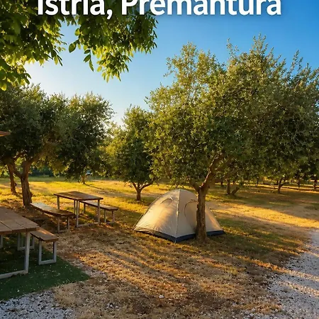 Volme Tent * Banjole